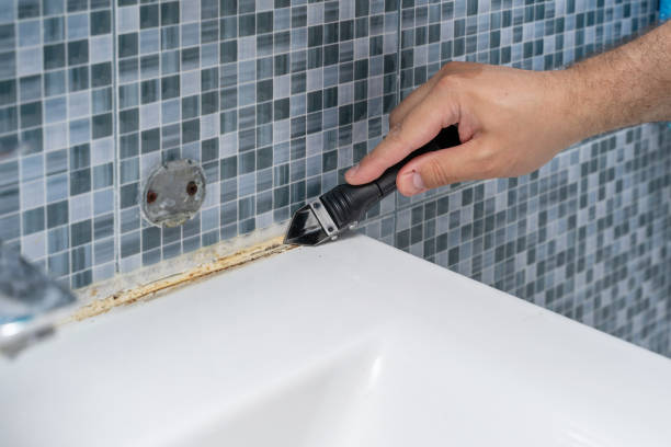 Best Office Mold Removal Services  in Joseph, OR