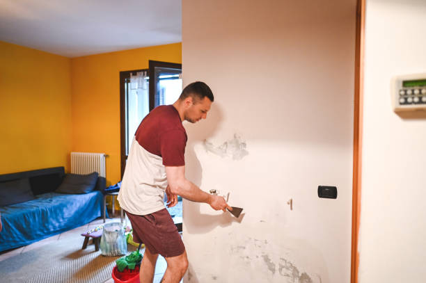 Certified Mold Removal in Joseph, OR