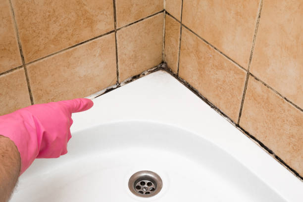 Best Crawl Space Mold Removal  in Joseph, OR